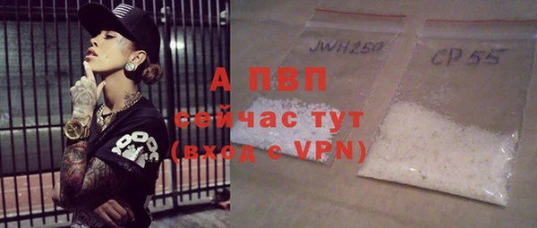 мдпв Гусев