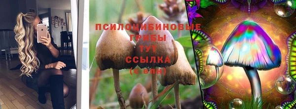 мяу мяу мука Армянск