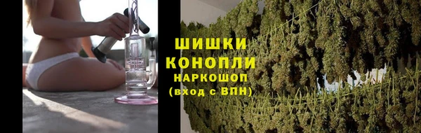 стафф Аркадак
