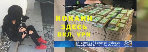 стафф Аркадак
