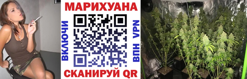 Шишки марихуана OG Kush  Арск 